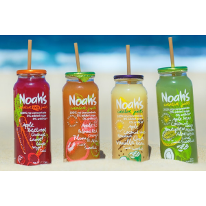 NOAH'S - STRAWS - ENVIRONMENTALLY FRIENDLY