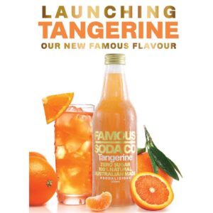 FAMOUS SODA CO - TANGERINE - GLASS 330MLS - 12PK
