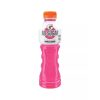 GATORADE - NO SUGAR - BERRY - 600MLS - 12PK