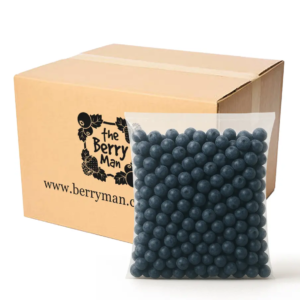 THE BERRY MAN FRUIT BLUEBERRY 1KG